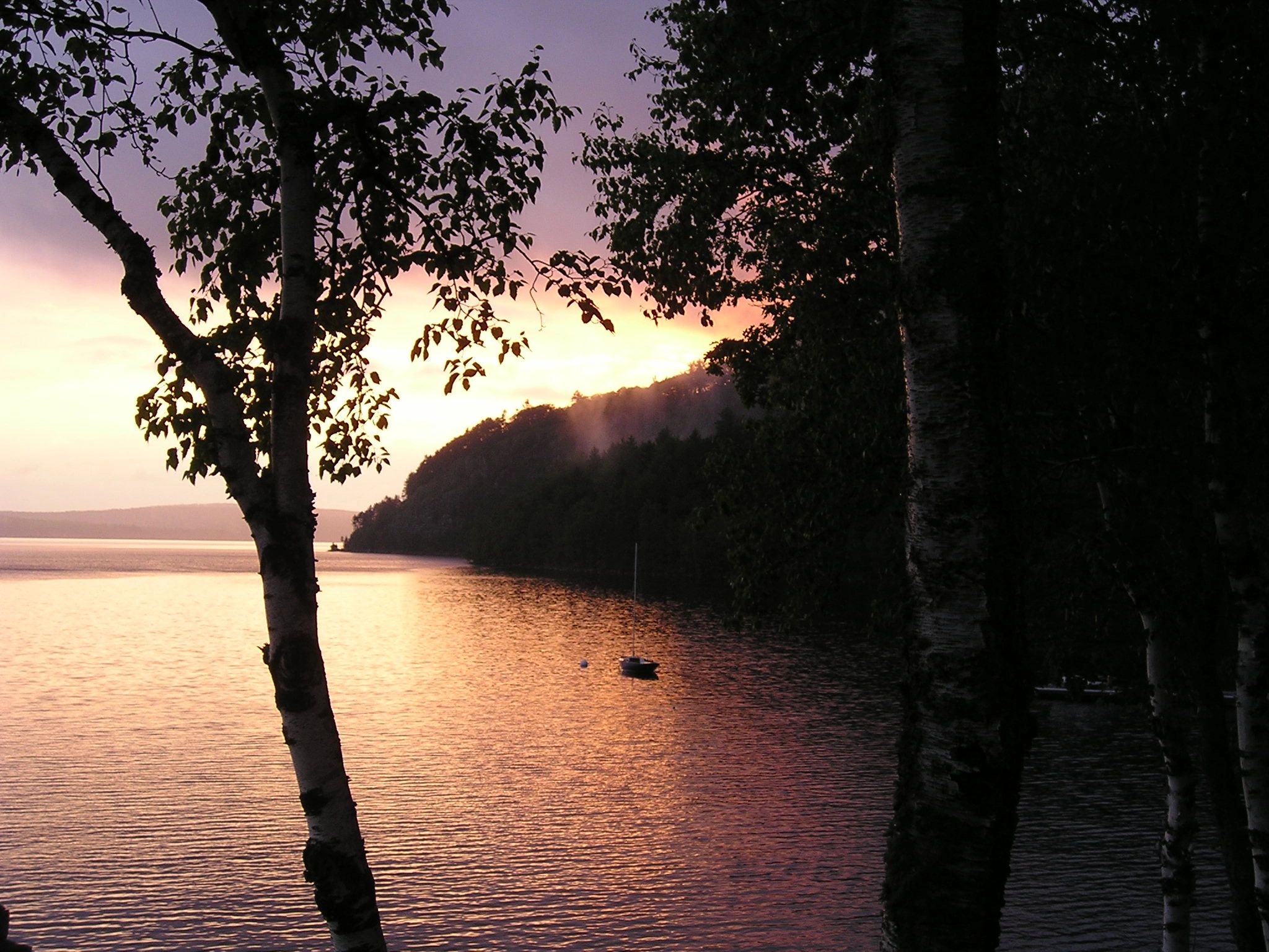 Sunset through trees on Moosehead Lake